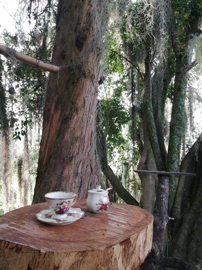 Eco Hostal Casa La Juana Couette-café *