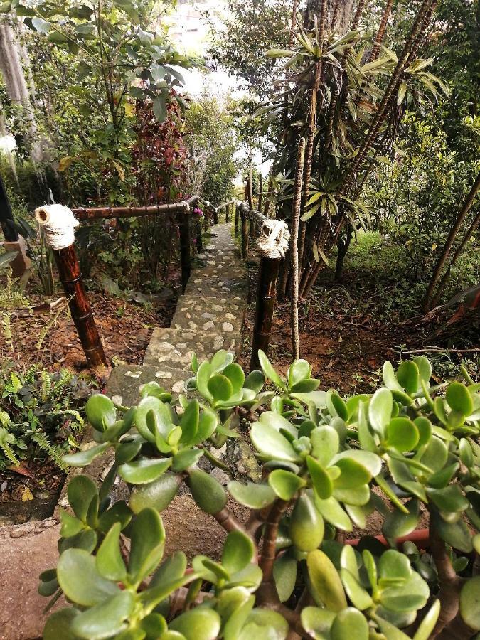 Eco Hostal Casa La Juana Frühstückspension Medellín