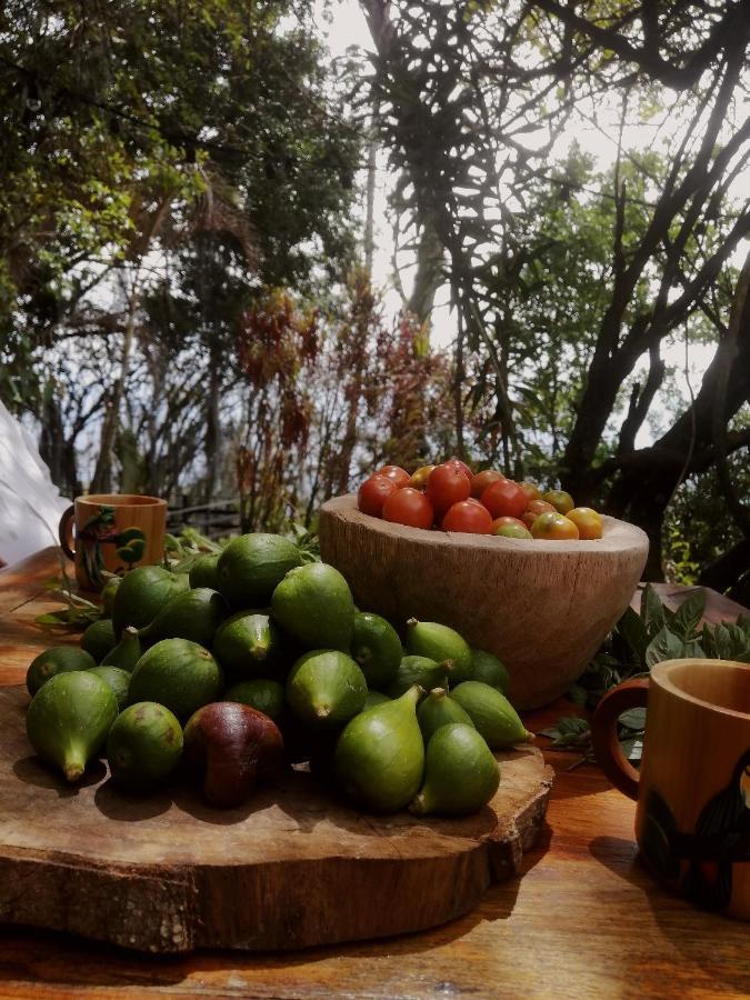 Eco Hostal Casa La Juana Medellín