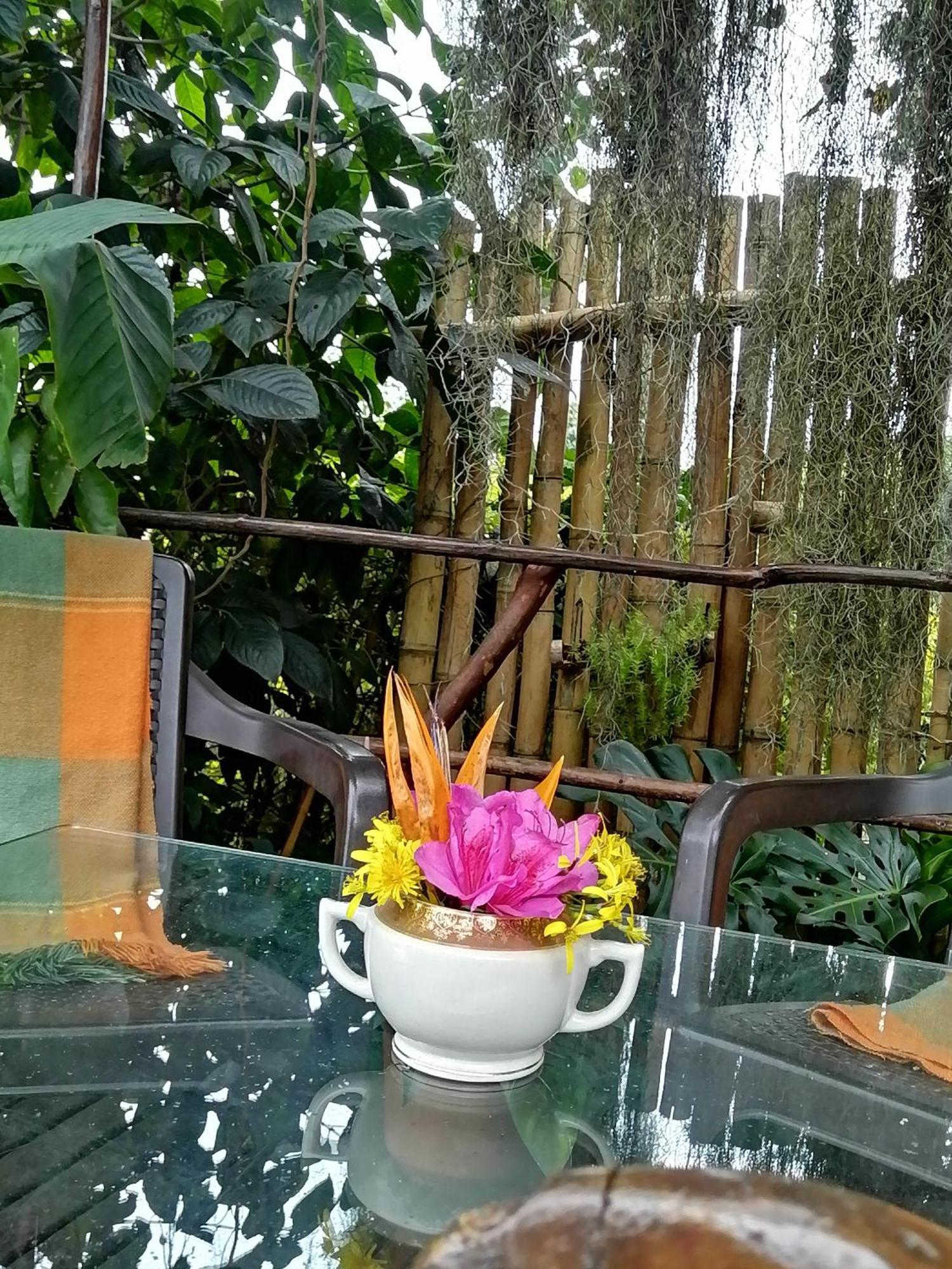 Frühstückspension Eco Hostal Casa La Juana Medellín