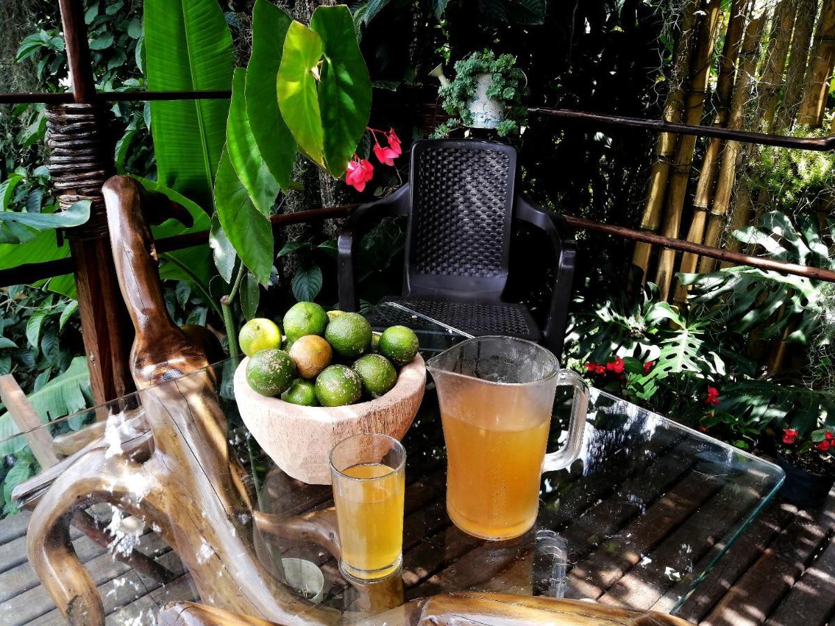 民宿 Eco Hostal Casa La Juana *