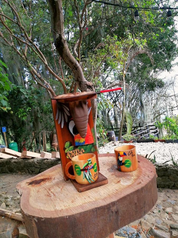 Eco Hostal Casa La Juana 民宿