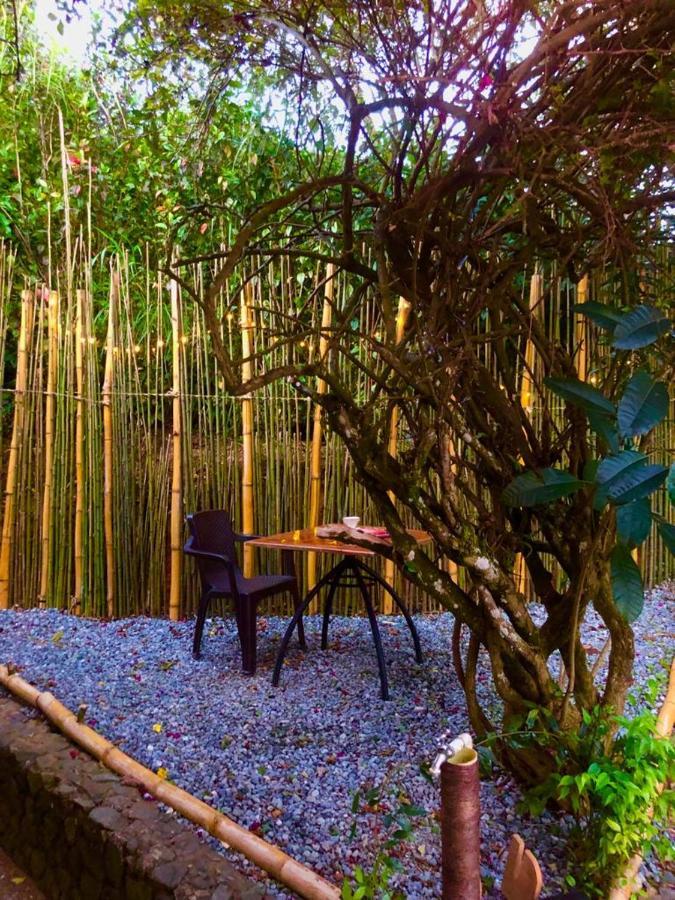 Eco Hostal Casa La Juana 民宿 *