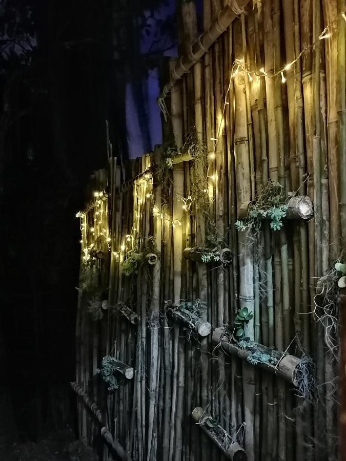 Eco Hostal Casa La Juana 民宿 *