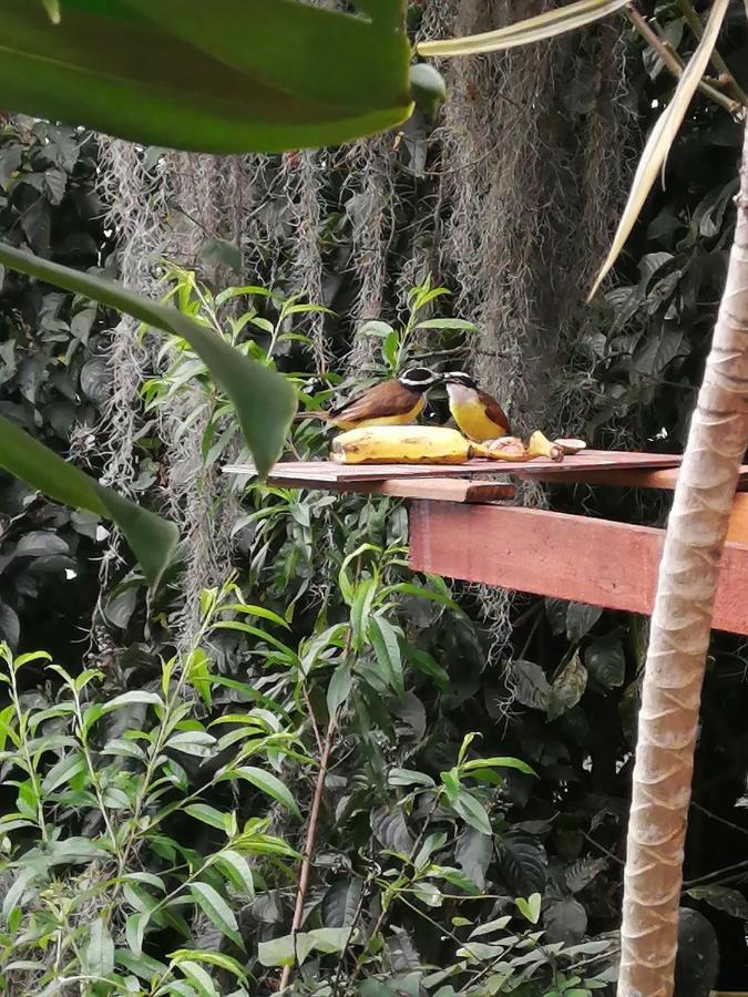 Eco Hostal Casa La Juana Medellín