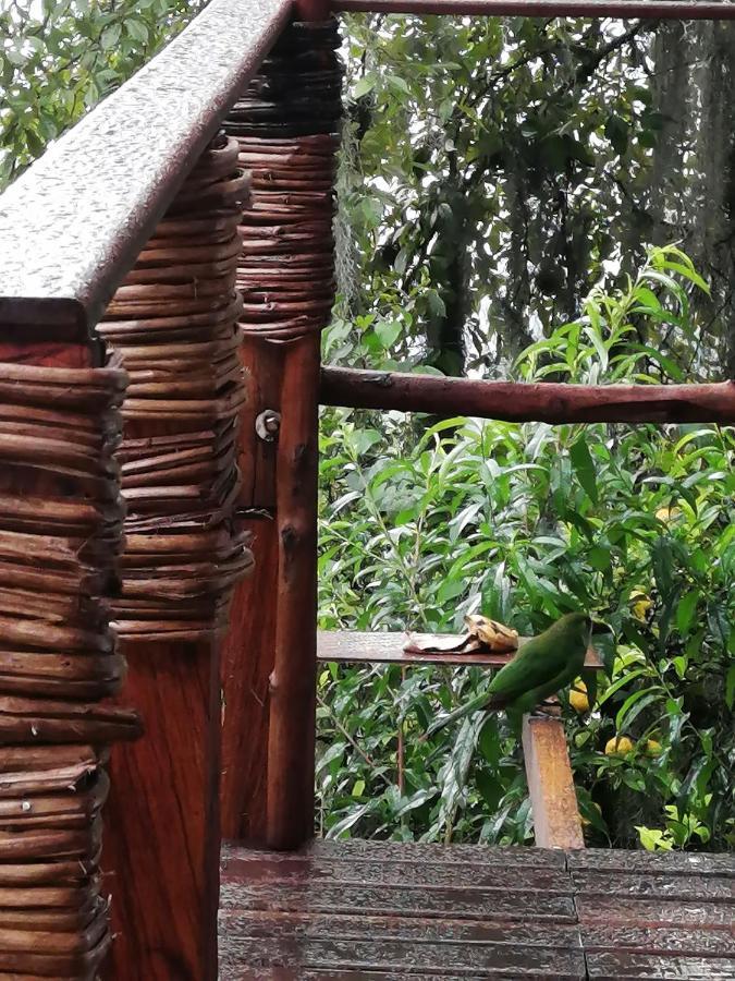 Eco Hostal Casa La Juana 民宿