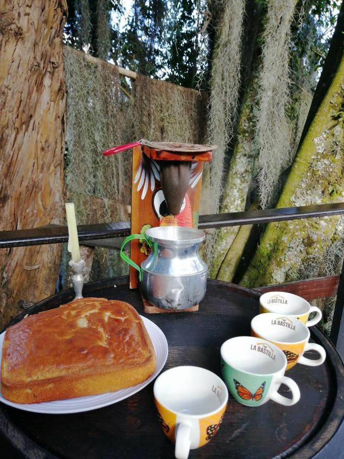 民宿 Eco Hostal Casa La Juana *